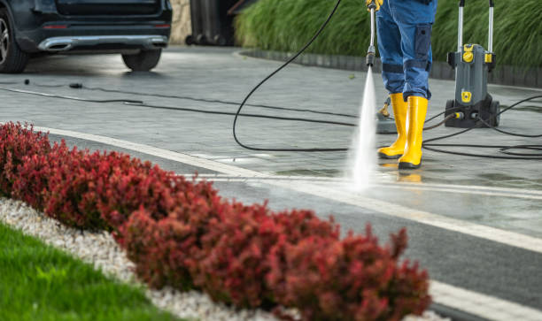 Professional Pressure Washing Services in Springfield, NJ